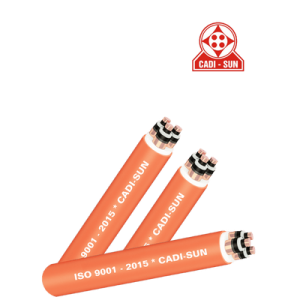 Cáp trung thế Cadisun 3 lõi CXV(AXV)/CTS-W