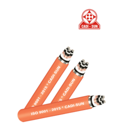 Cáp trung thế Cadisun 3 lõi DSTA(ADSTA)/CTS-W