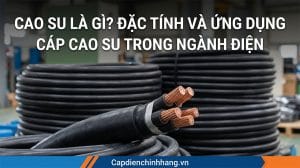 Cao su là gì? Đặc tính và ứng dụng cáp cao su trong ngành điện