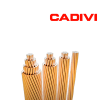 Cáp đồng trần Cadivi C