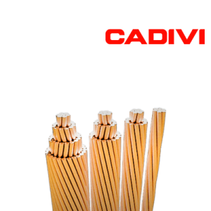 Cáp đồng trần Cadivi C