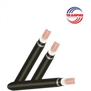 Cáp hạ thế Trần Phú ruột đồng cách điện XLPE có lớp giáp vỏ bọc PVC - CXV/DATA hoặc CXV/DSTA