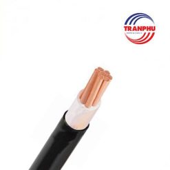 Cáp hạ thế Trần Phú ruột đồng cách điện XLPE vỏ bọc PVC