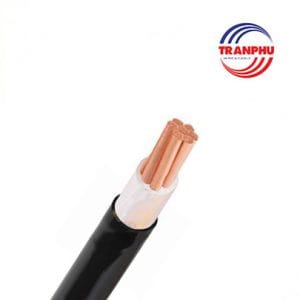 Cáp hạ thế Trần Phú ruột đồng cách điện XLPE vỏ bọc PVC