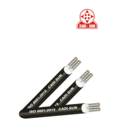 Cáp nhôm Cadisun AXV 2x bọc cách điện XLPE