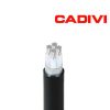 Cáp nhôm Cadivi AXV/DATA & AXV/DSTA – 0.6/1kV