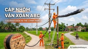 Cáp nhôm vặn xoắn ABC: Lựa chọn số 1 cho điện hạ thế nông thôn