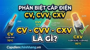 CV, CVV, CXV là gì? Cách phân biệt và ứng dụng các loại cáp điện
