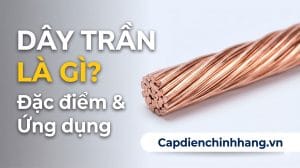 Dây trần là gì? Đặc điểm và ứng dụng trong hệ thống điện