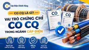 CO CQ là gì? Vai trò chứng chỉ CO CQ trong ngành cáp điện