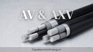 AV là gì? AXV là gì? Phân biệt và ứng dụng chi tiết từ chuyên gia