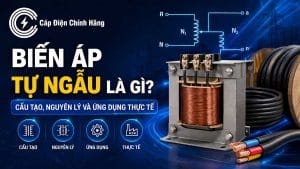 Biến áp tự ngẫu là gì? Cấu tạo, Nguyên lý và Ứng dụng thực tế
