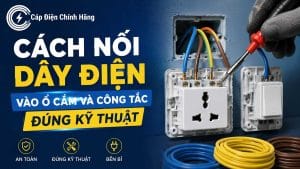 Cách nối dây điện vào ổ cắm và công tắc đúng kỹ thuật, cực chắc