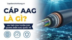 Cáp AAG là gì? Vai trò của tuyến cáp quang biển AAG quốc tế
