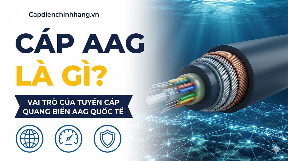 Cáp AAG là gì? Vai trò của tuyến cáp quang biển AAG quốc tế