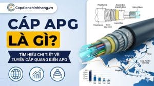 Cáp APG là gì? Tìm hiểu chi tiết về tuyến cáp quang biển APG