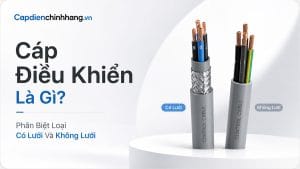 Cáp Điều Khiển Là Gì? Phân Biệt Loại Có Lưới Và Không Lưới