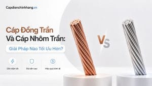 Cáp Đồng Trần Và Cáp Nhôm Trần: Giải Pháp Nào Tối Ưu Hơn?