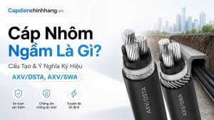 Cáp Nhôm Ngầm Là Gì? Cấu Tạo & Ý Nghĩa Ký Hiệu AXV/DSTA, AXV/SWA