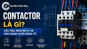 Contactor là gì? Cấu tạo, nguyên lý và ứng dụng khởi động từ