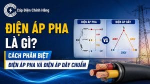 Điện áp pha là gì? Cách phân biệt điện áp pha và điện áp dây chuẩn
