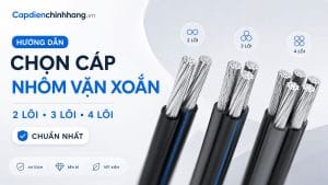 Hướng Dẫn Chọn Cáp Nhôm Vặn Xoắn 2 Lõi, 3 Lõi, 4 Lõi Chuẩn Nhất