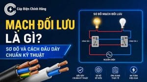 Mạch đối lưu là gì? Sơ đồ và cách đấu dây chuẩn kỹ thuật