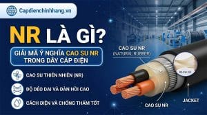 NR là gì? Giải mã ý nghĩa cao su NR trong dây cáp điện