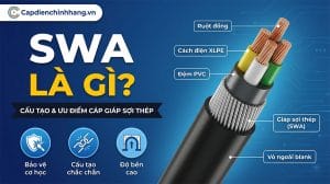SWA là gì? Khám phá cấu tạo và ưu điểm của cáp giáp sợi thép