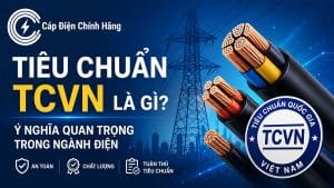 Tiêu chuẩn TCVN là gì? Ý nghĩa quan trọng trong ngành điện