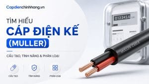 Tìm Hiểu Cáp Điện Kế (Muller): Cấu Tạo, Tính Năng & Phân Loại