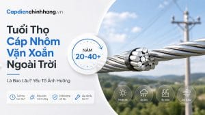 Tuổi Thọ Cáp Nhôm Vặn Xoắn Ngoài Trời Là Bao Lâu? Yếu Tố Ảnh Hưởng