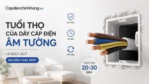 Tuổi thọ của dây cáp điện âm tường là bao lâu? Khi nào thay mới?