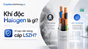 Khí độc Halogen là gì? Vì sao nên dùng cáp LSZH?